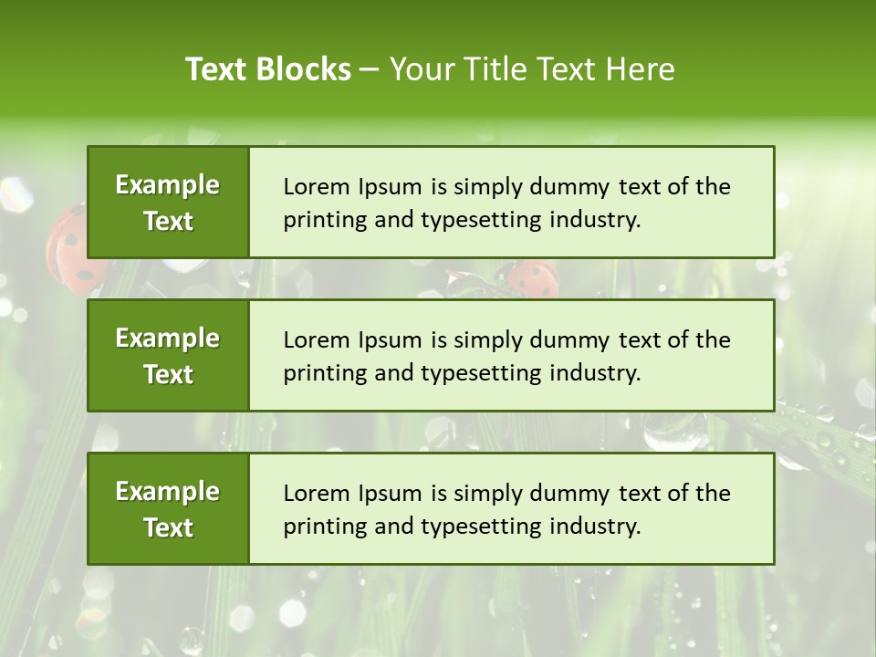 Bright Meadow Lifestyle PowerPoint Template