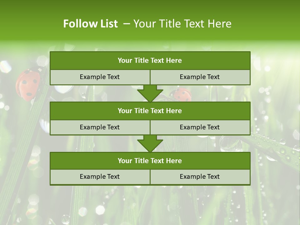 Bright Meadow Lifestyle PowerPoint Template