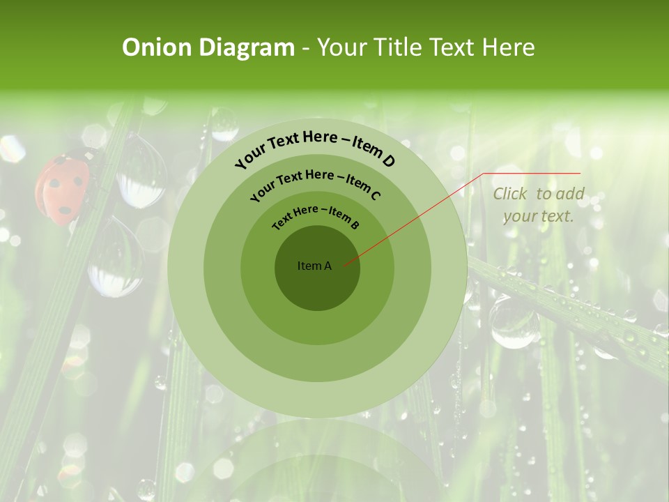 Bright Meadow Lifestyle PowerPoint Template