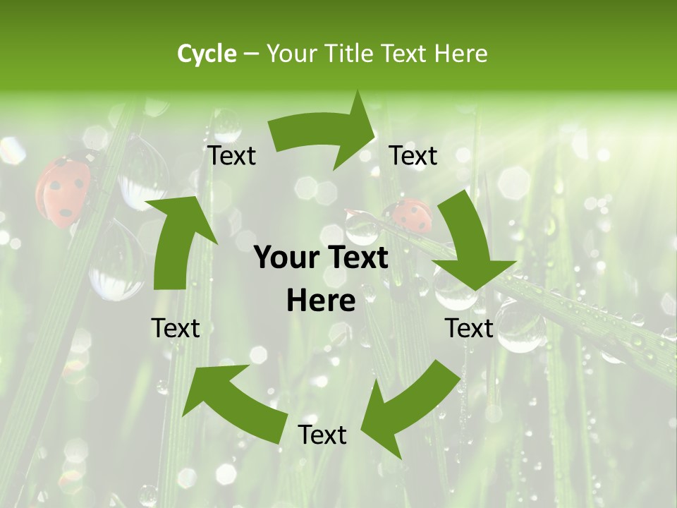 Bright Meadow Lifestyle PowerPoint Template