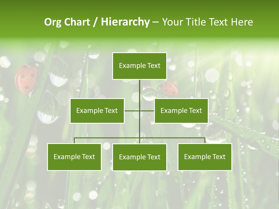 Bright Meadow Lifestyle PowerPoint Template