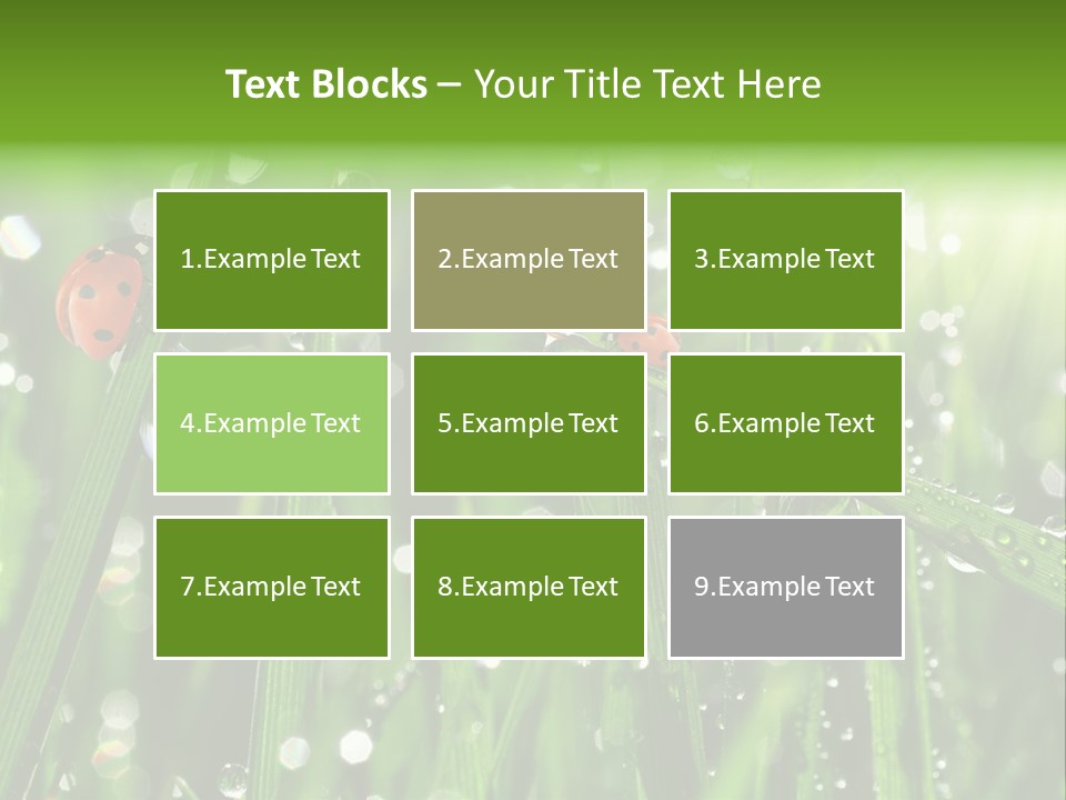 Bright Meadow Lifestyle PowerPoint Template