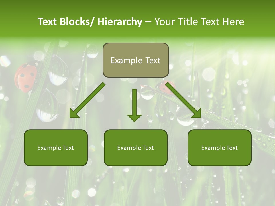 Bright Meadow Lifestyle PowerPoint Template