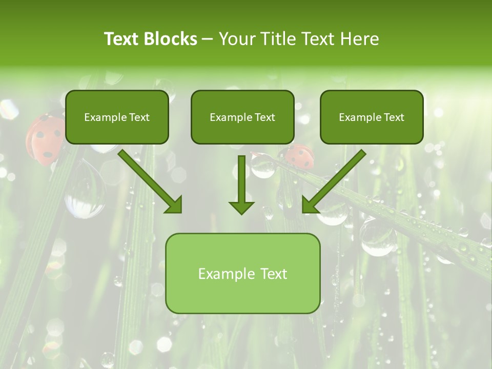 Bright Meadow Lifestyle PowerPoint Template