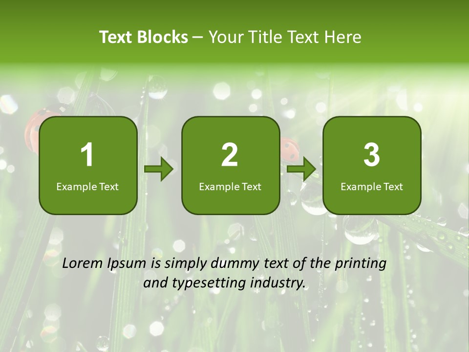 Bright Meadow Lifestyle PowerPoint Template