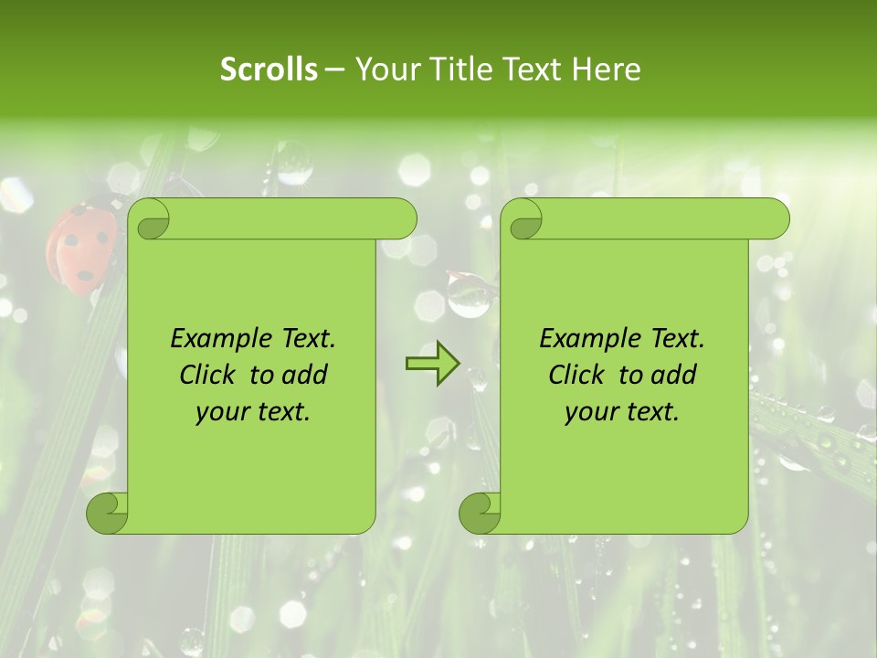 Bright Meadow Lifestyle PowerPoint Template