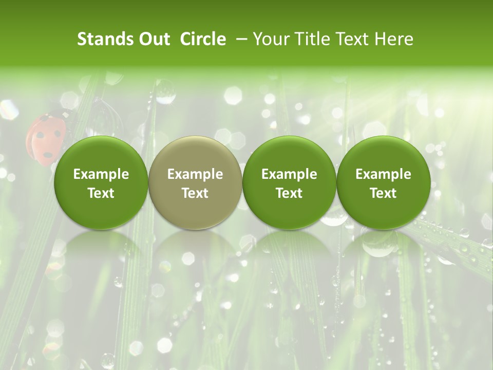 Bright Meadow Lifestyle PowerPoint Template