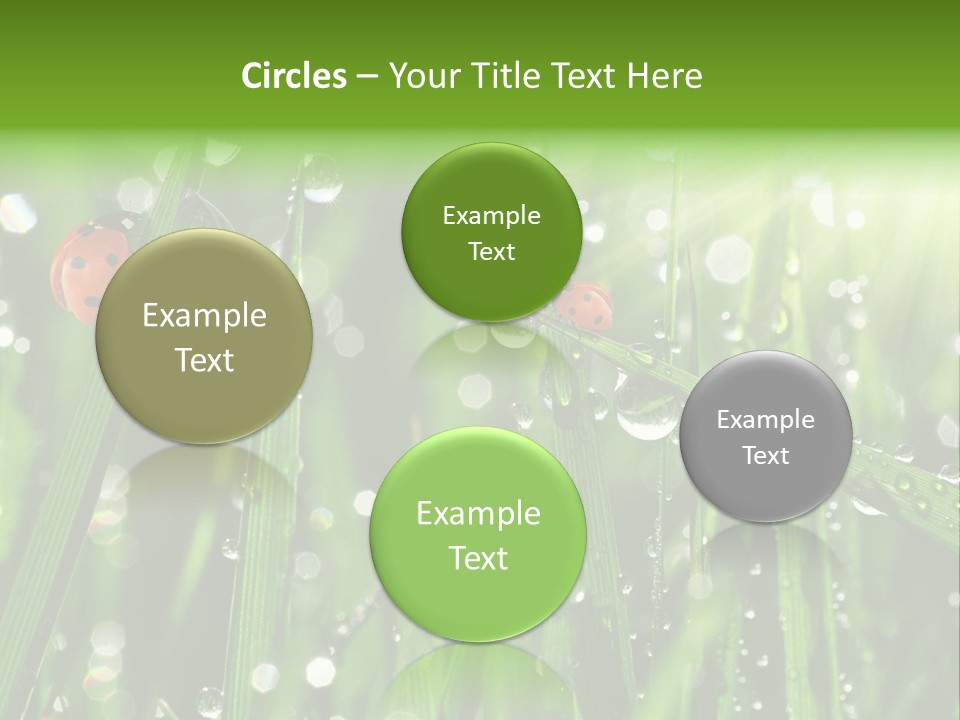 Bright Meadow Lifestyle PowerPoint Template