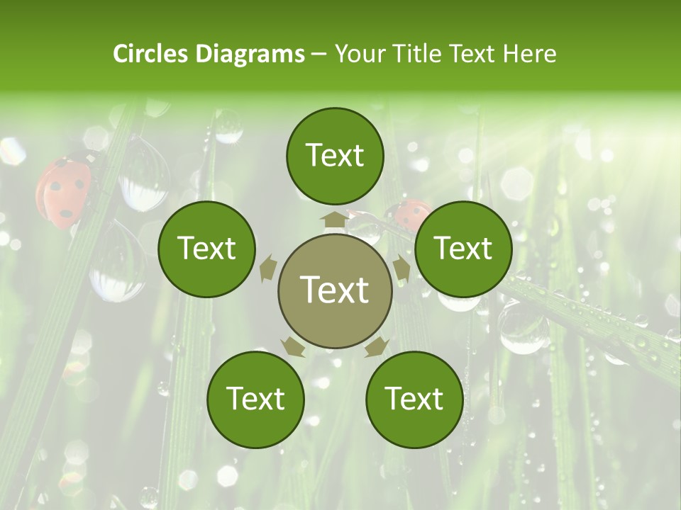 Bright Meadow Lifestyle PowerPoint Template