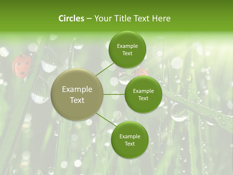 Bright Meadow Lifestyle PowerPoint Template