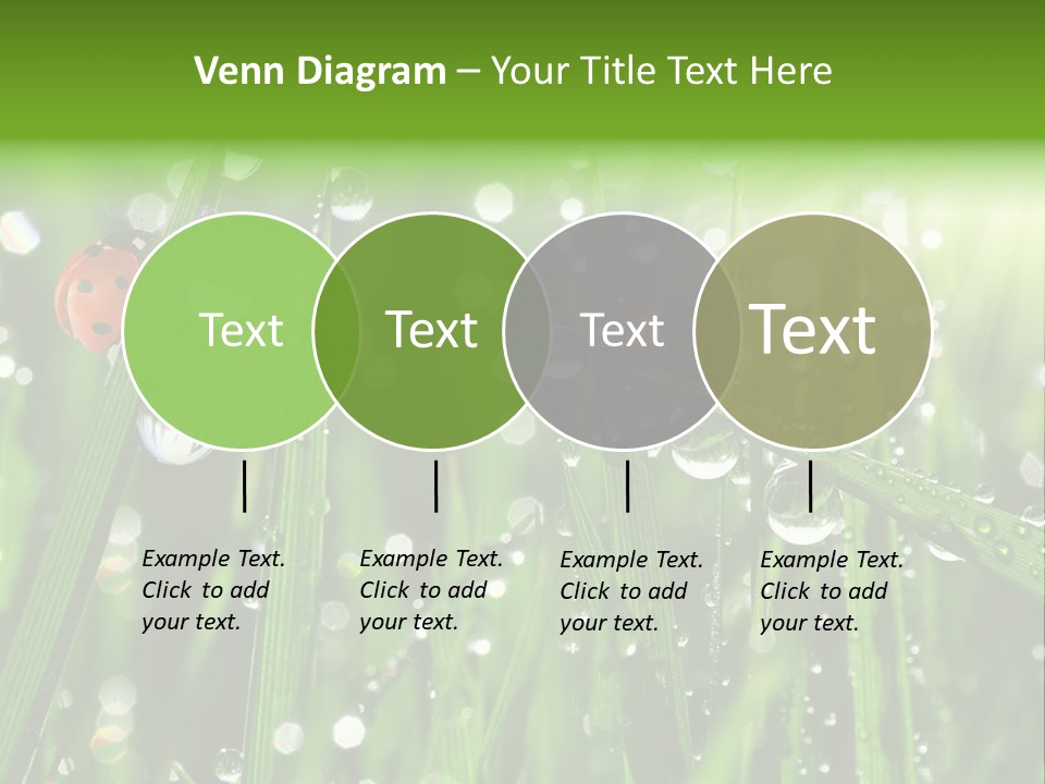 Bright Meadow Lifestyle PowerPoint Template