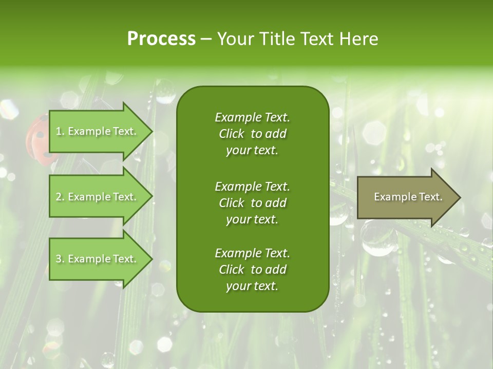 Bright Meadow Lifestyle PowerPoint Template