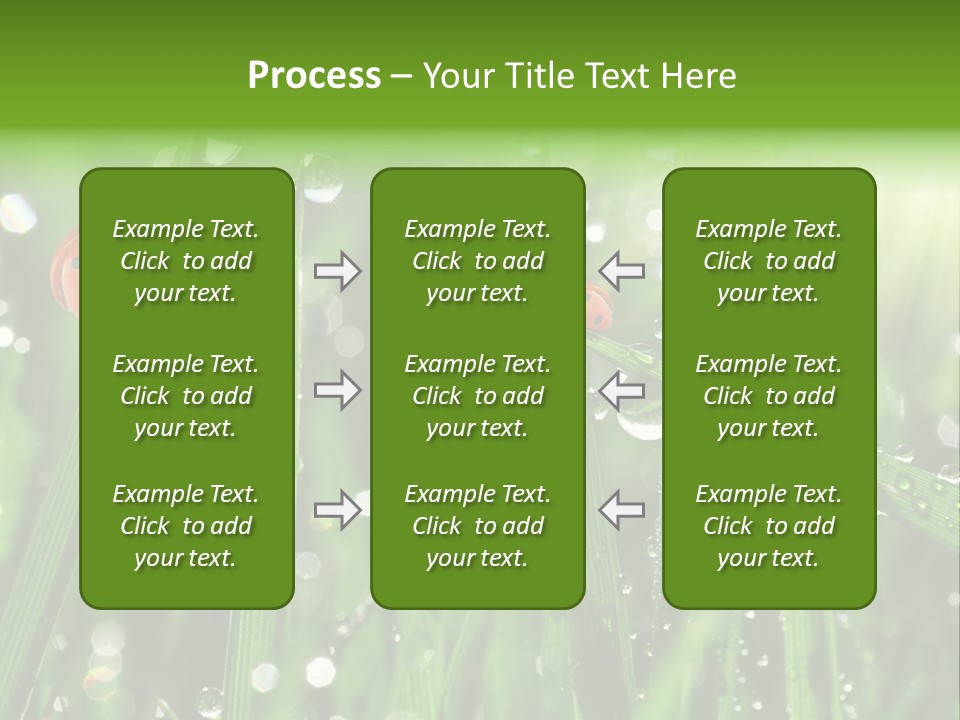 Bright Meadow Lifestyle PowerPoint Template