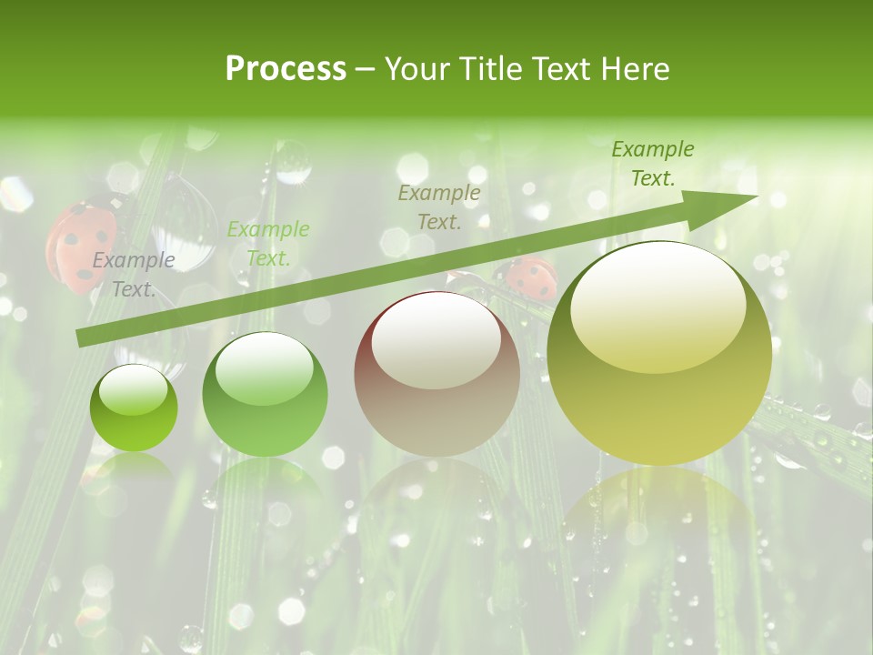 Bright Meadow Lifestyle PowerPoint Template