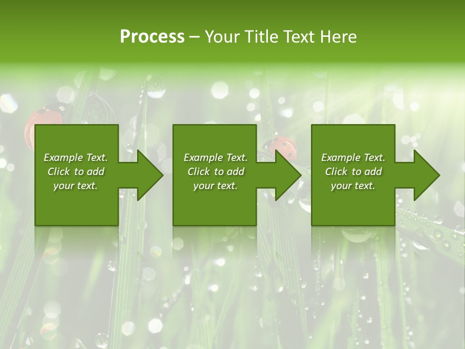 Bright Meadow Lifestyle PowerPoint Template