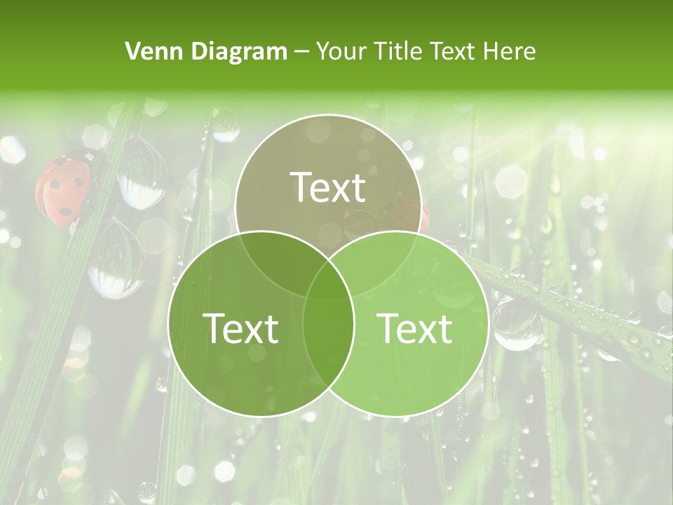 Bright Meadow Lifestyle PowerPoint Template