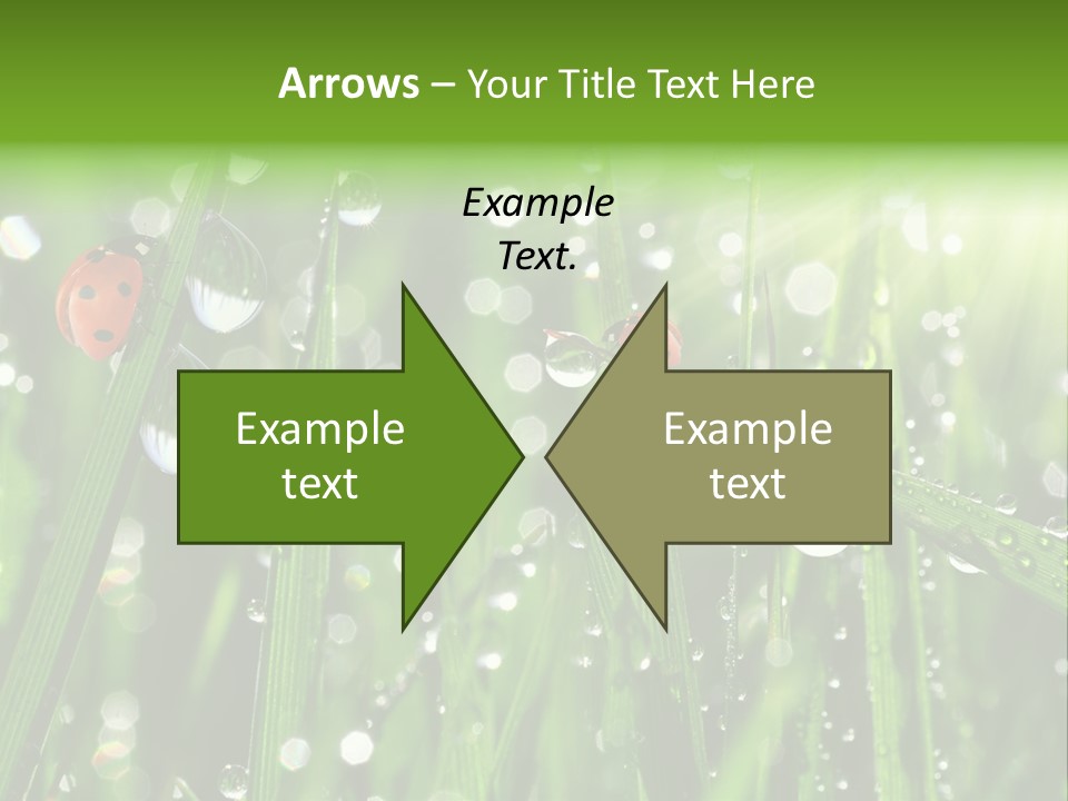 Bright Meadow Lifestyle PowerPoint Template