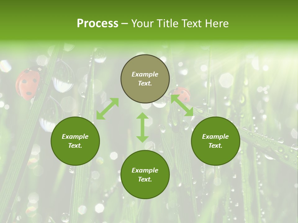 Bright Meadow Lifestyle PowerPoint Template