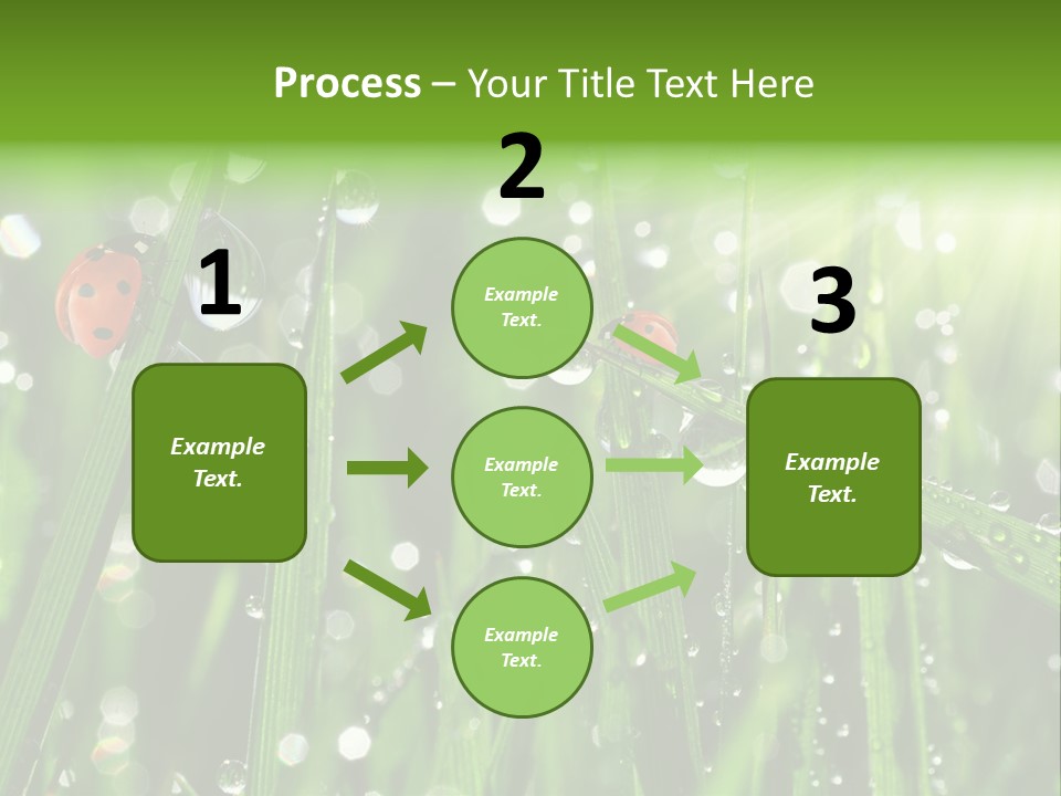 Bright Meadow Lifestyle PowerPoint Template
