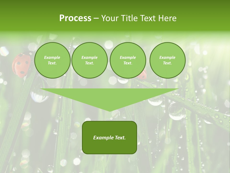 Bright Meadow Lifestyle PowerPoint Template