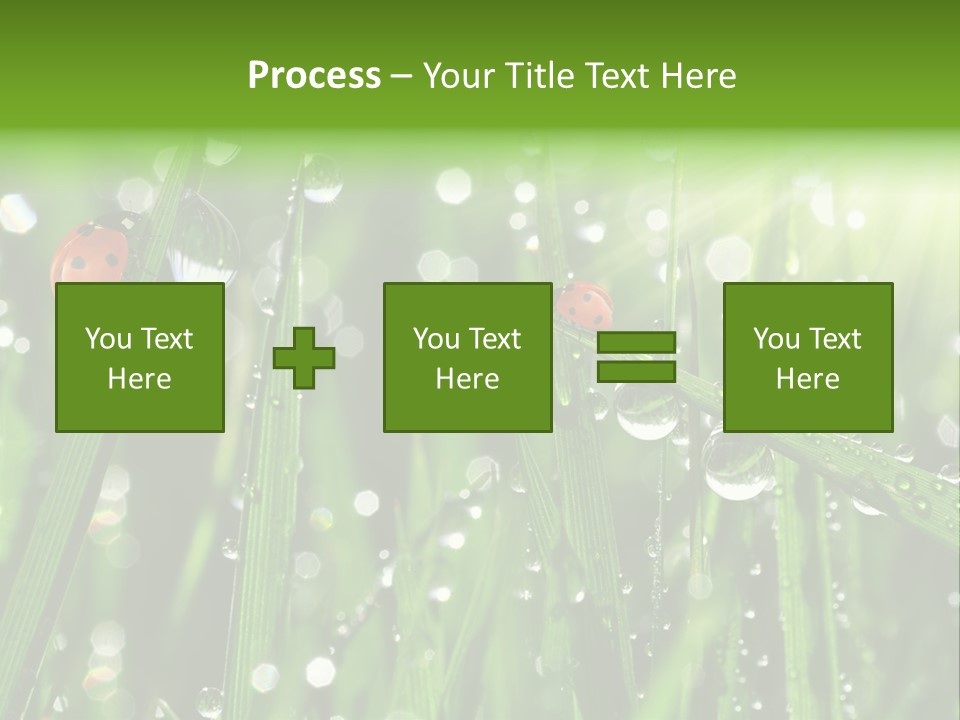 Bright Meadow Lifestyle PowerPoint Template