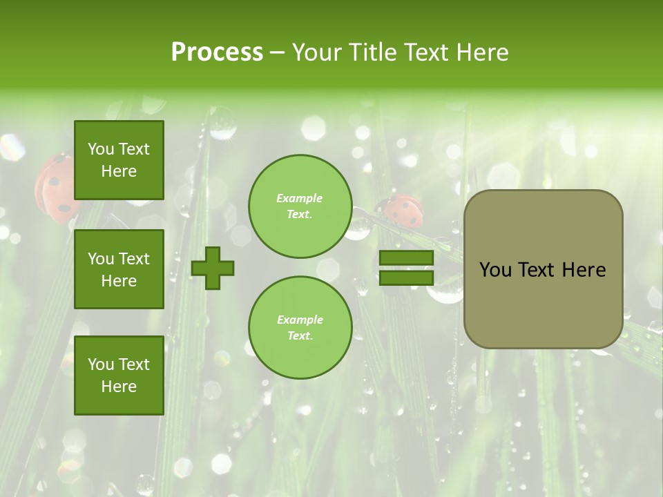 Bright Meadow Lifestyle PowerPoint Template