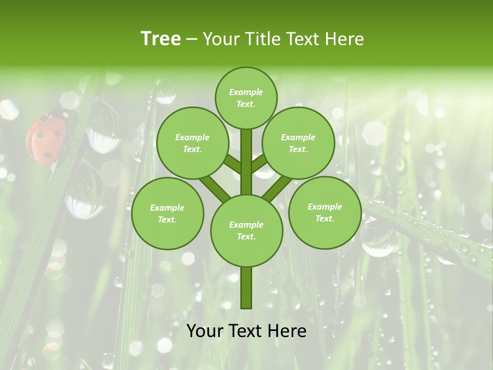 Bright Meadow Lifestyle PowerPoint Template