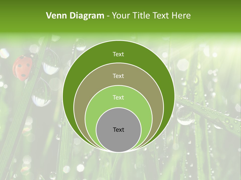 Bright Meadow Lifestyle PowerPoint Template