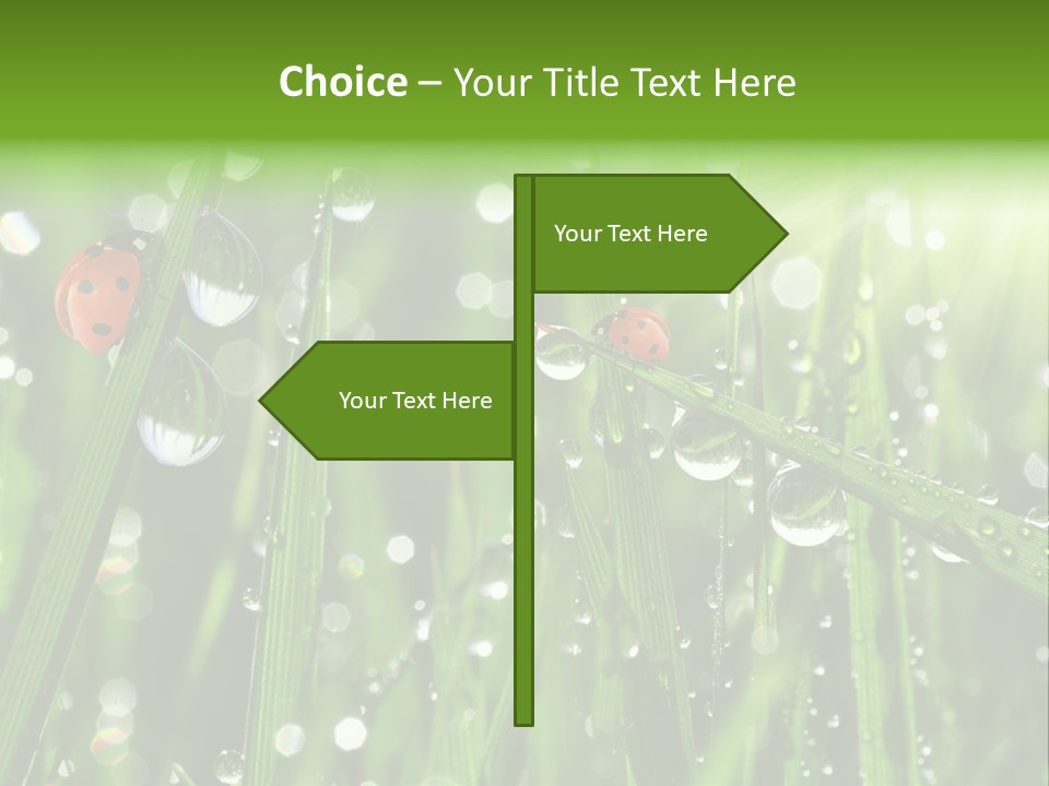 Bright Meadow Lifestyle PowerPoint Template