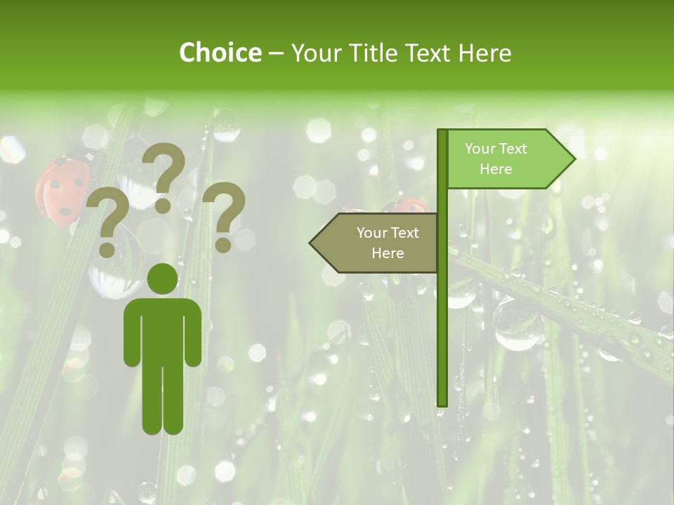 Bright Meadow Lifestyle PowerPoint Template
