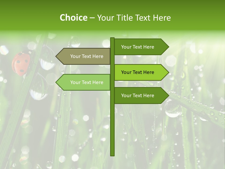 Bright Meadow Lifestyle PowerPoint Template