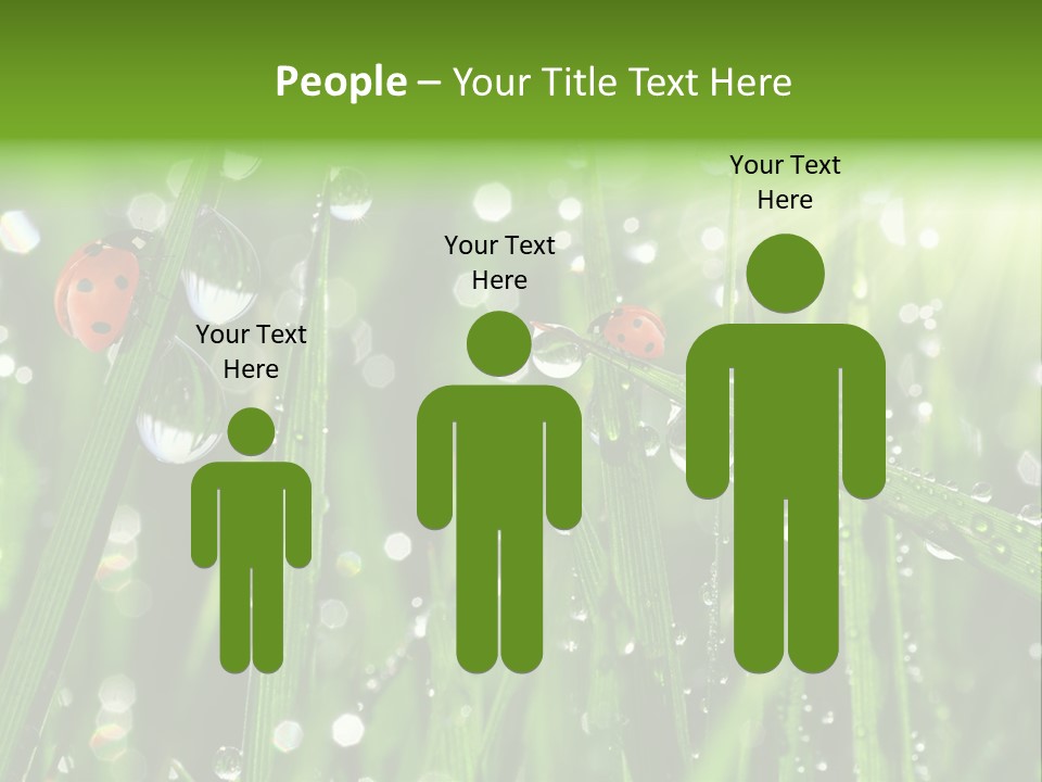 Bright Meadow Lifestyle PowerPoint Template