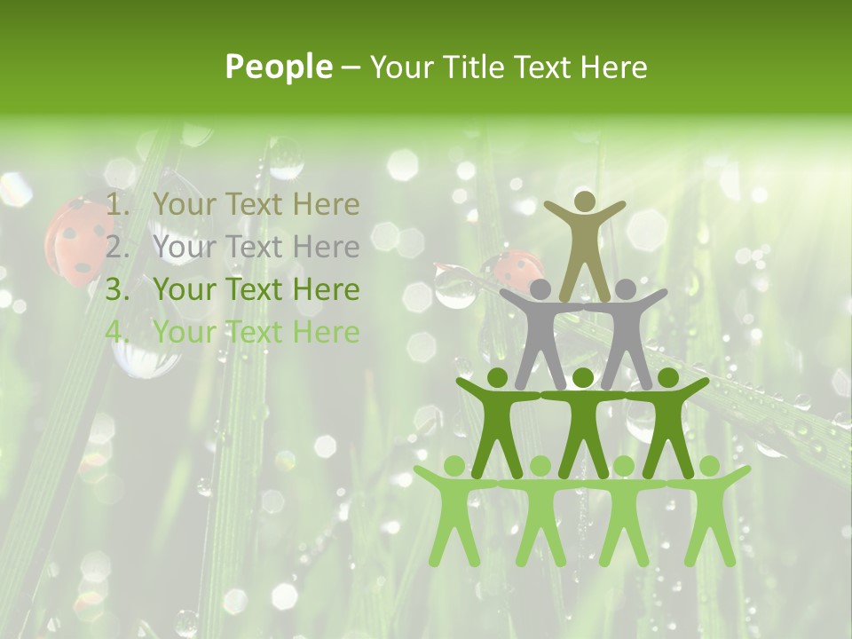 Bright Meadow Lifestyle PowerPoint Template