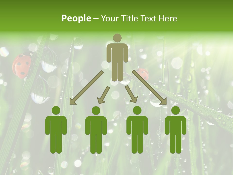 Bright Meadow Lifestyle PowerPoint Template