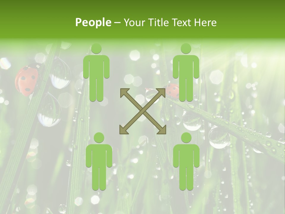 Bright Meadow Lifestyle PowerPoint Template