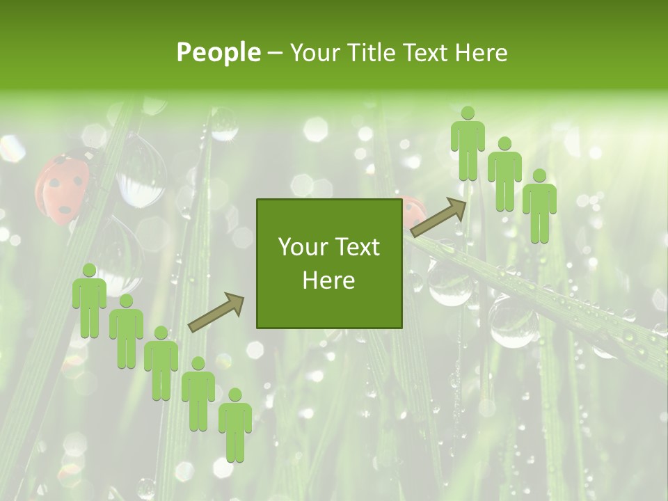 Bright Meadow Lifestyle PowerPoint Template