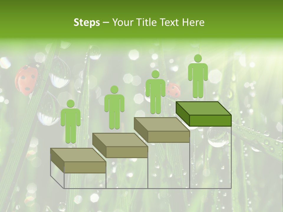 Bright Meadow Lifestyle PowerPoint Template