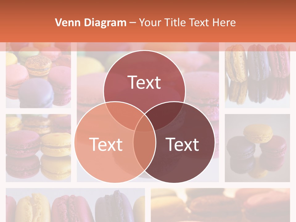 Couleur Petit Assortiment PowerPoint Template