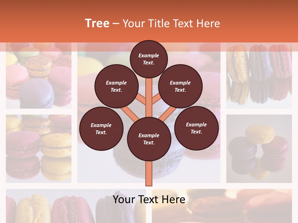 Couleur Petit Assortiment PowerPoint Template