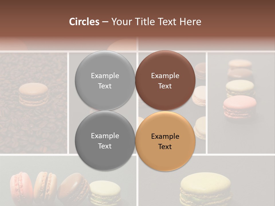 Graines Marron Rang PowerPoint Template