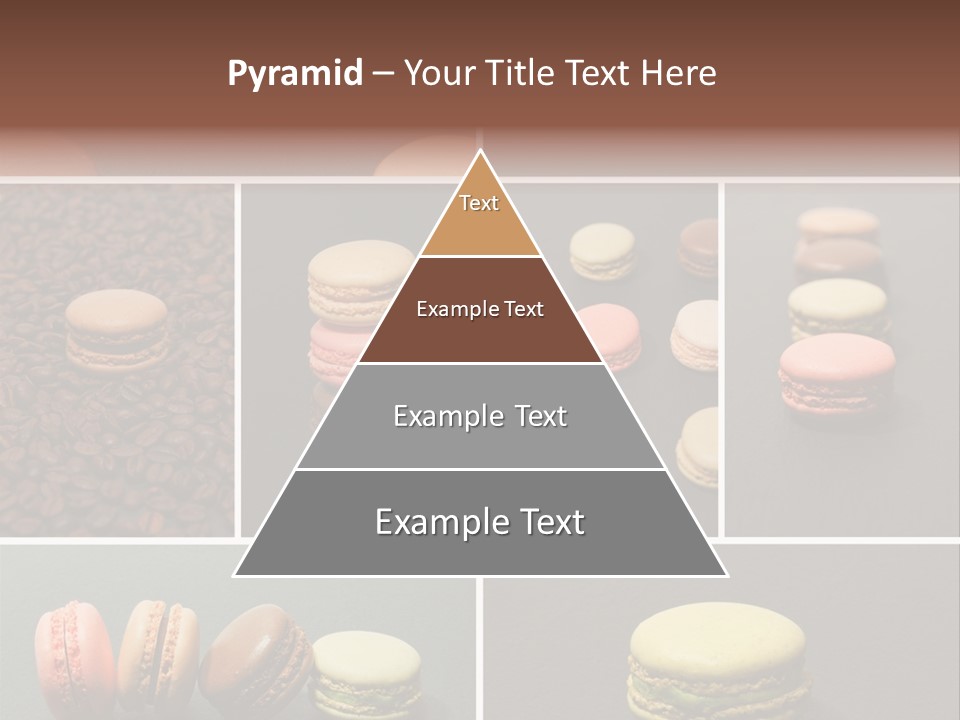 Graines Marron Rang PowerPoint Template