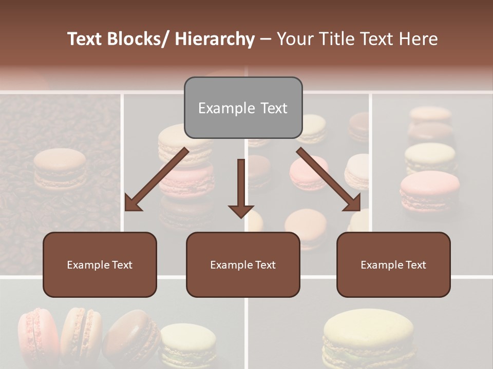 Graines Marron Rang PowerPoint Template