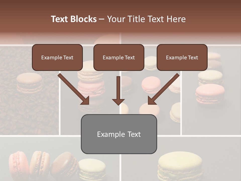 Graines Marron Rang PowerPoint Template