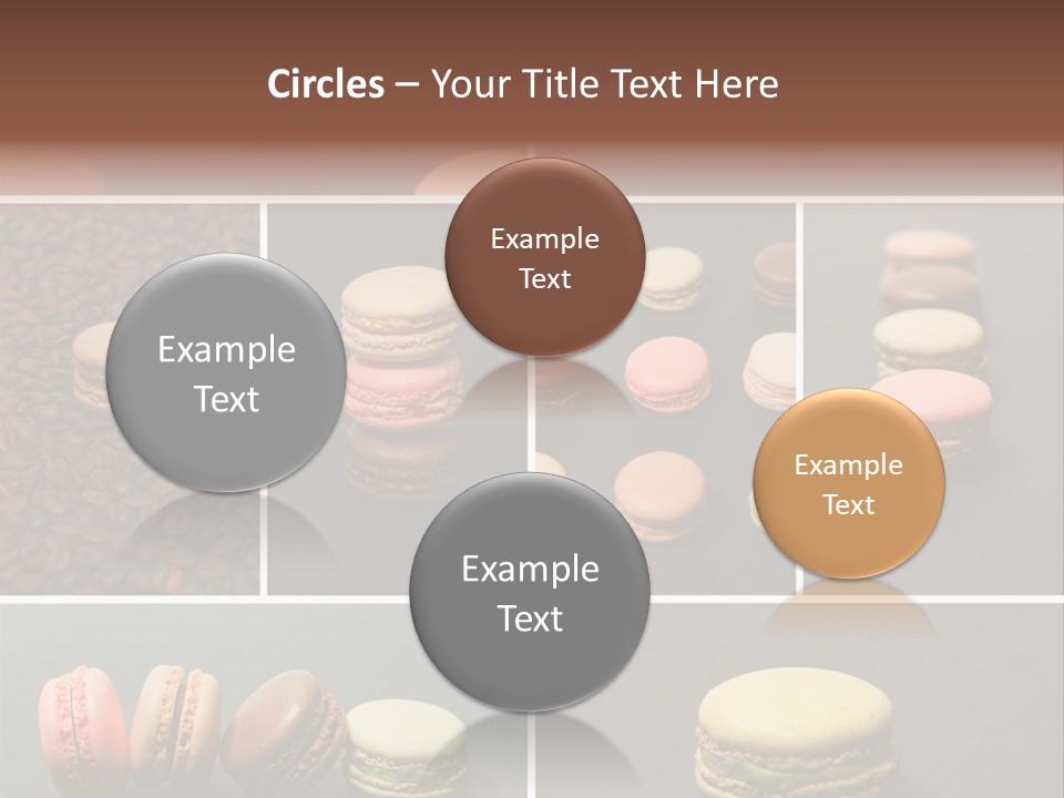 Graines Marron Rang PowerPoint Template