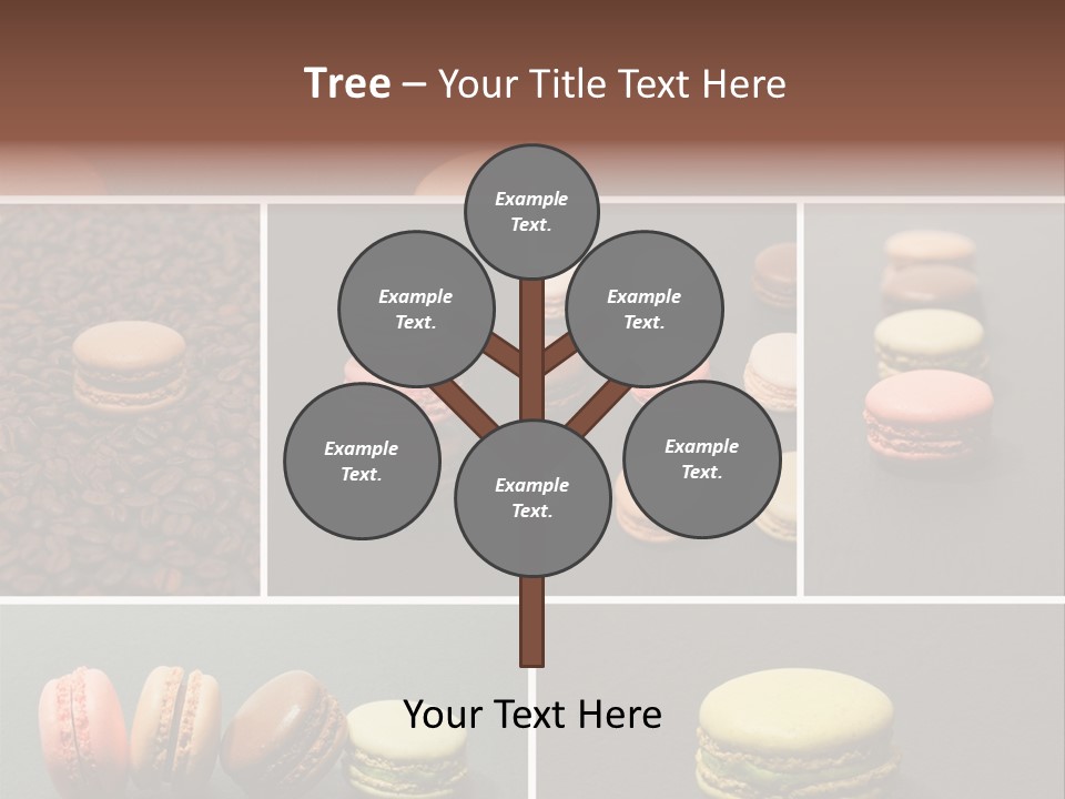 Graines Marron Rang PowerPoint Template