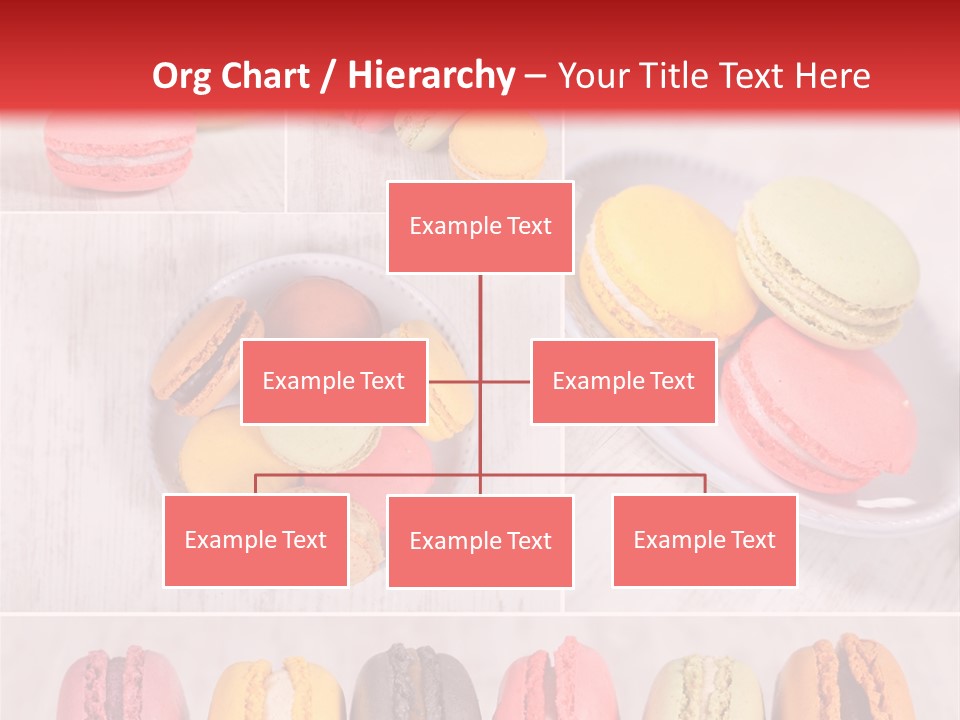 Biscuit Colorful Round PowerPoint Template