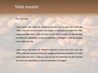 Student Read Young PowerPoint Template