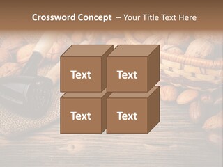 Student Read Young PowerPoint Template