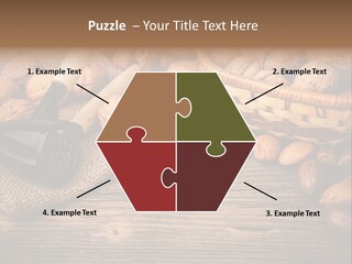 Student Read Young PowerPoint Template