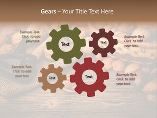 Student Read Young PowerPoint Template